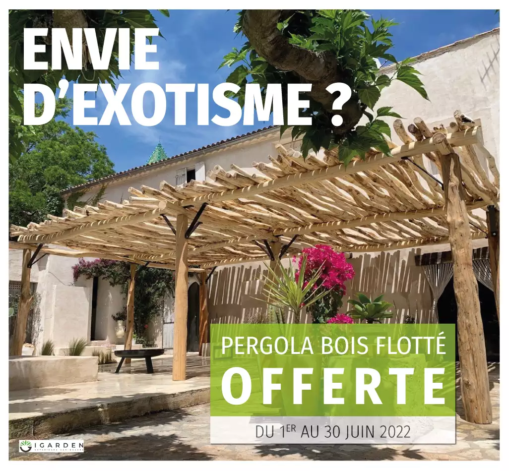 Pergola en bois flotté I-Garden offerte