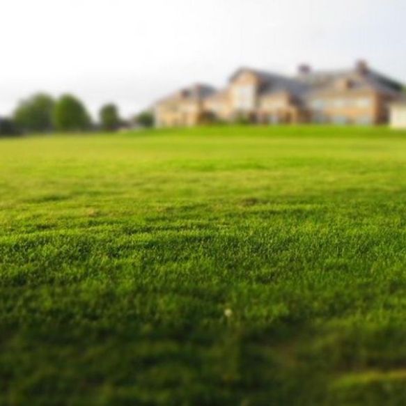 terrain constructible de 1000 M² avec permis déposé et purge pour une maison de 162 m²