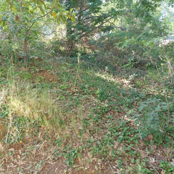 Terrain bien situé sur la commune de BAILLARGUES