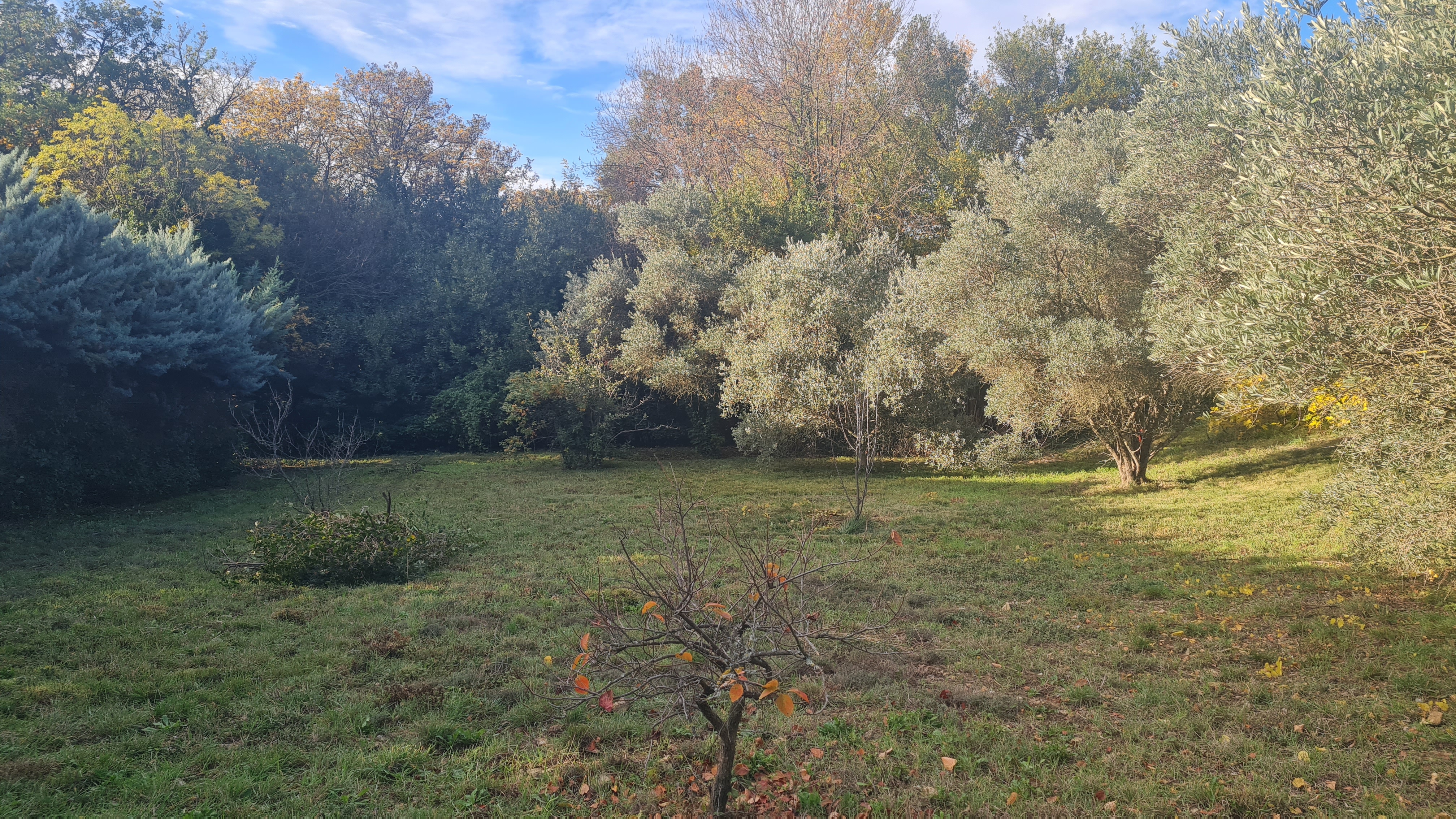 magnifique terrain de 900m2 environ à 2 min du centre ville de Clermont l Hérault