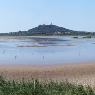 Terrain constructible MARSEILLAN