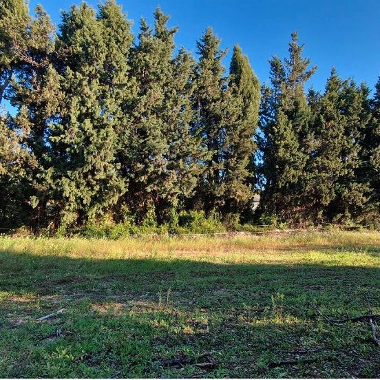 Terrain constructible de 300 m² à Maussane-les-Alpilles, proche commodités et écoles
