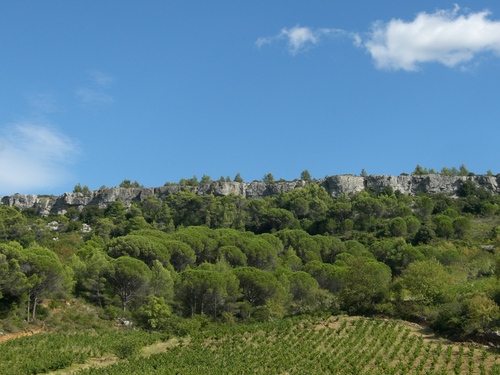 Grand Terrain à bâtir 34460 Cazedarnes