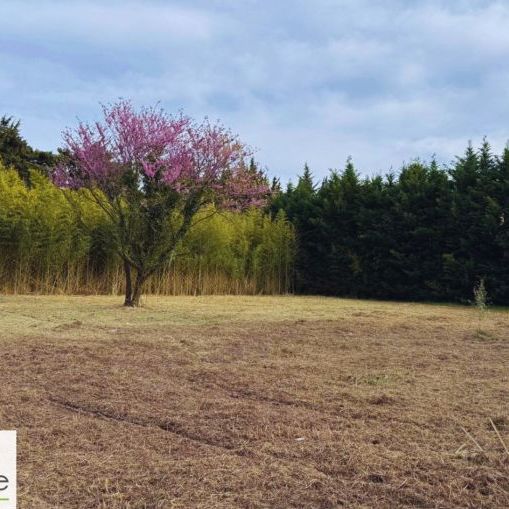 Terrain constructible de 1200 m² à Saint-Rémy-de-Provence, proche écoles et commodités dans les Alpilles