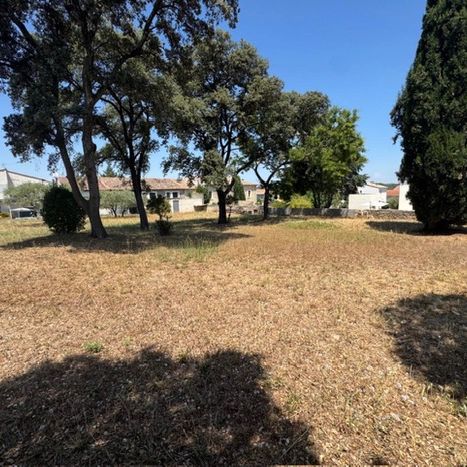 Terrain viabilisé à Boisseron au calme arboré