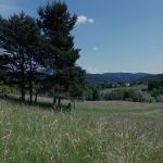 Terrain à Lieuran les Béziers  34290