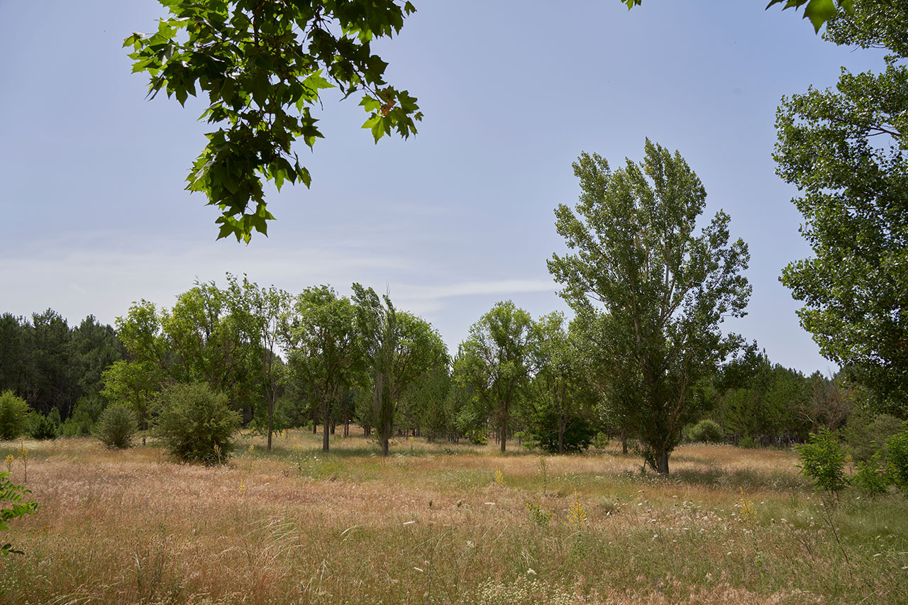 Terrain constructible à Maubec