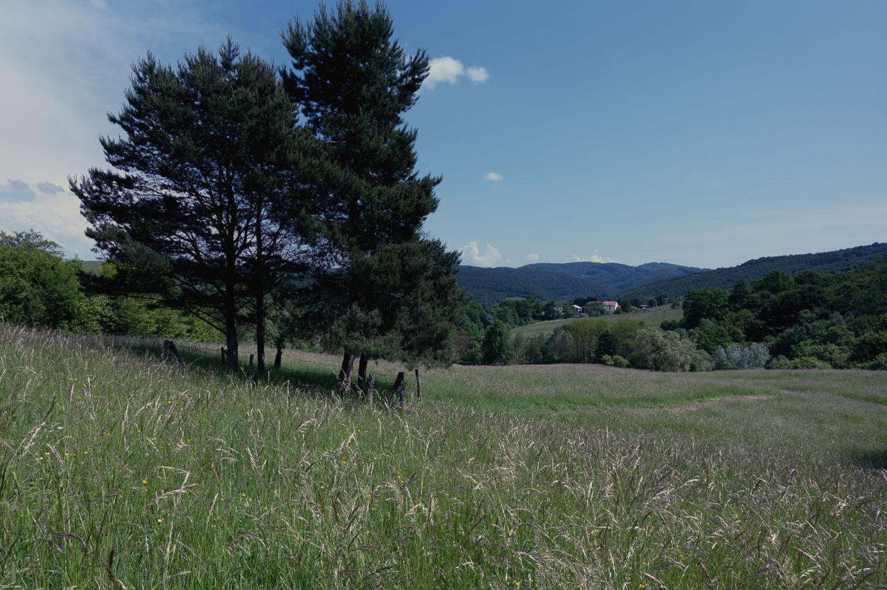 Terrain constructible à Tavel