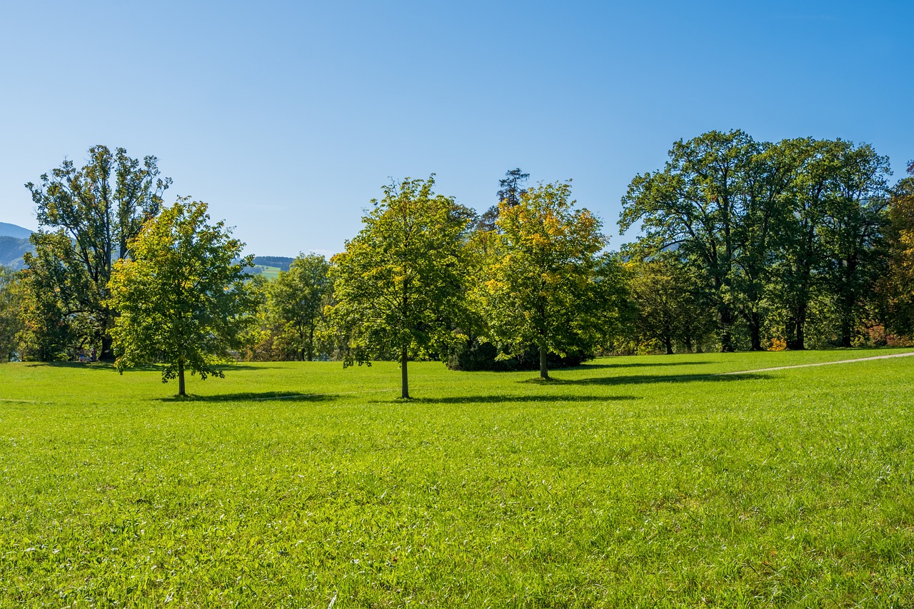 terrain aux portes de Capestang